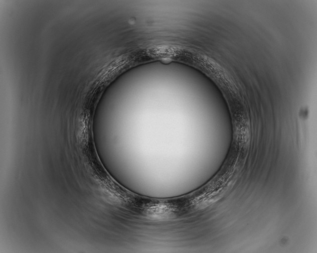 X0000101230460200806271515