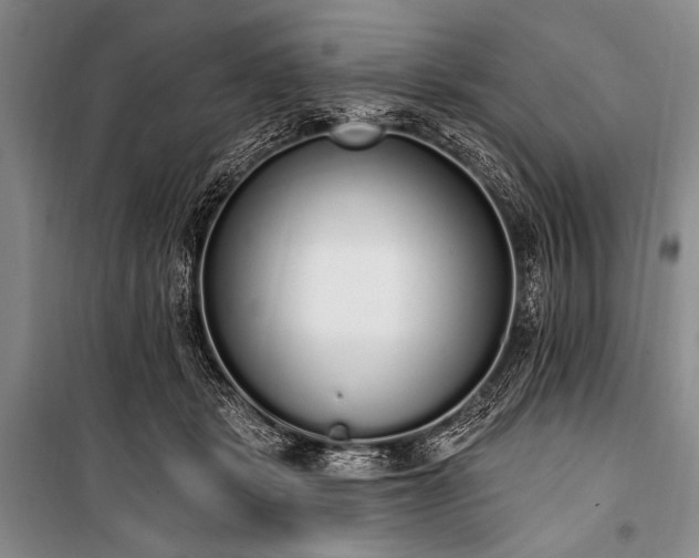 X0000101230461200806271515