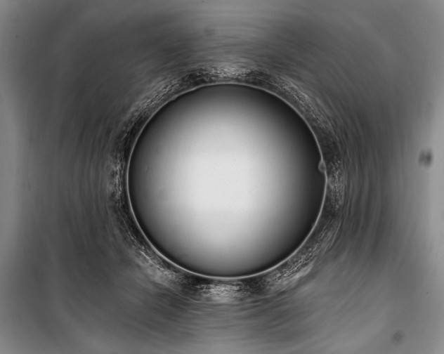 X0000101230462200806271515