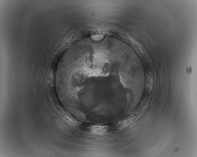 X0000101230465200806271515