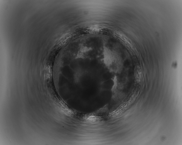 X0000101230467200806271515
