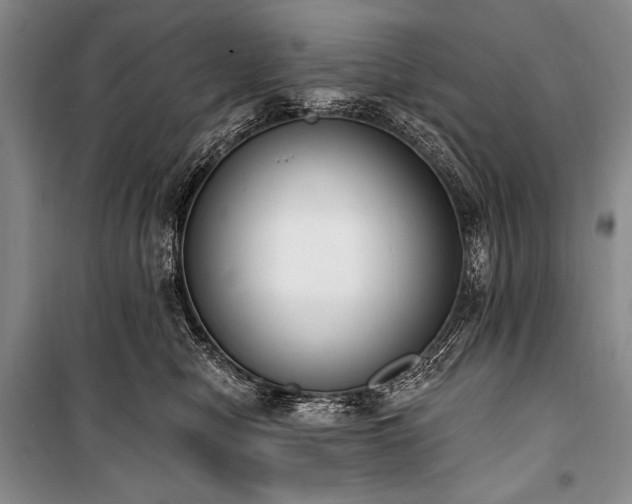 X0000101230470200806271515