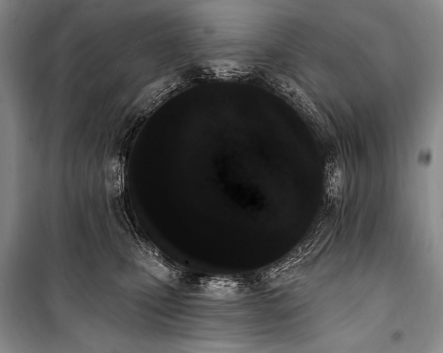 X0000101230471200806271515