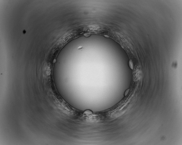 X0000101230472200806271515