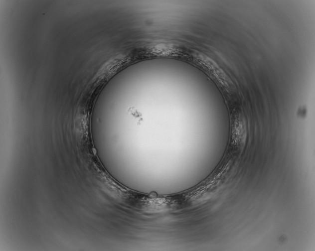 X0000101230473200806271515