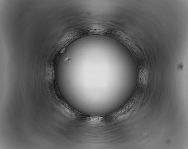 X0000101230474200806271515