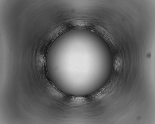 X0000101230476200806271515