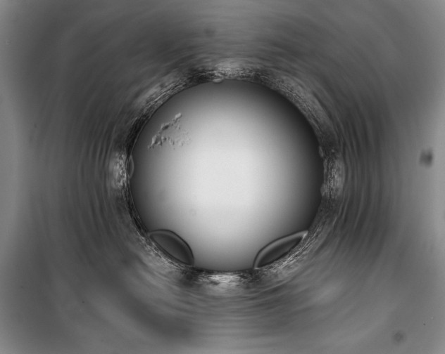 X0000101230478200806271515