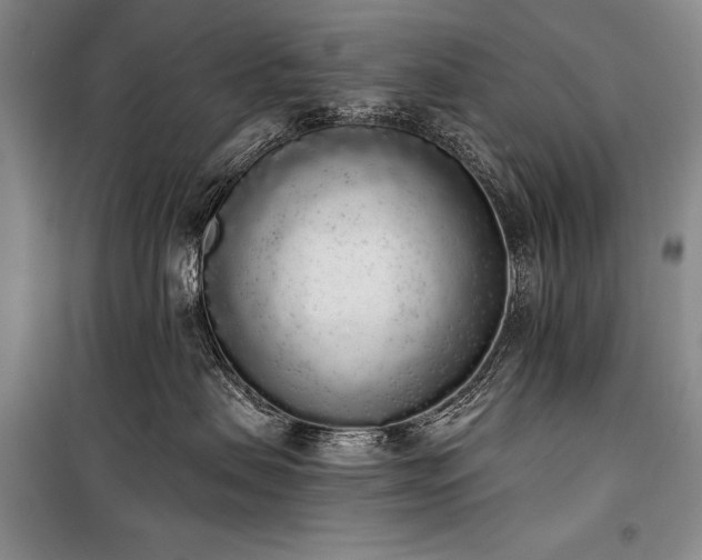 X0000101230479200806271515