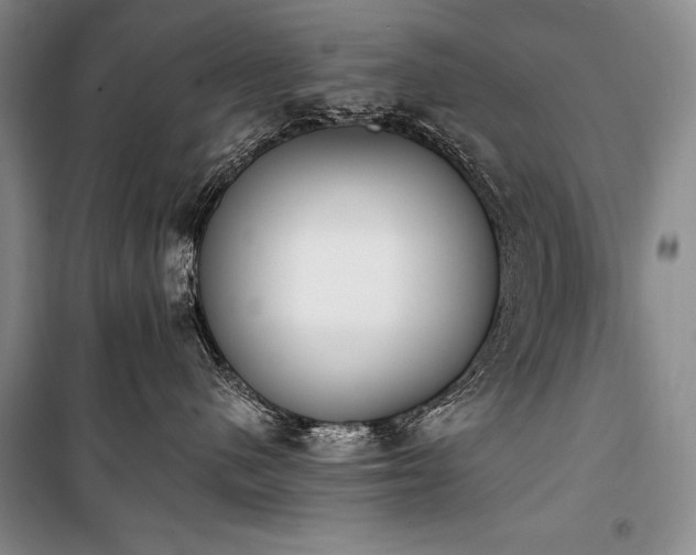 X0000101230480200806271515