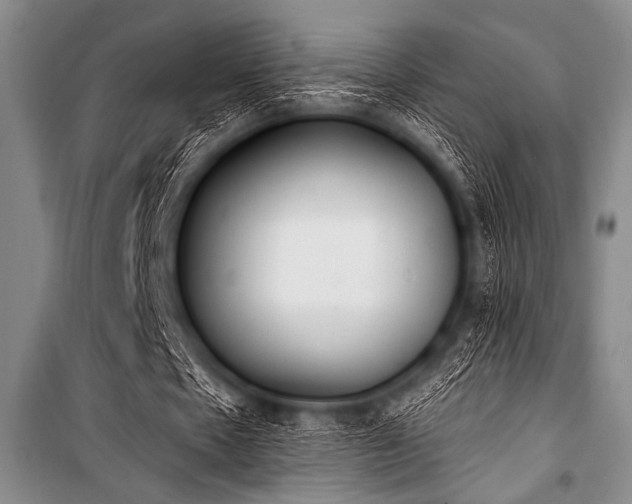 X0000101230481200806271515