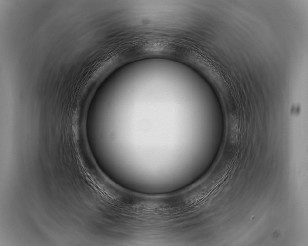 X0000101230482200806271515