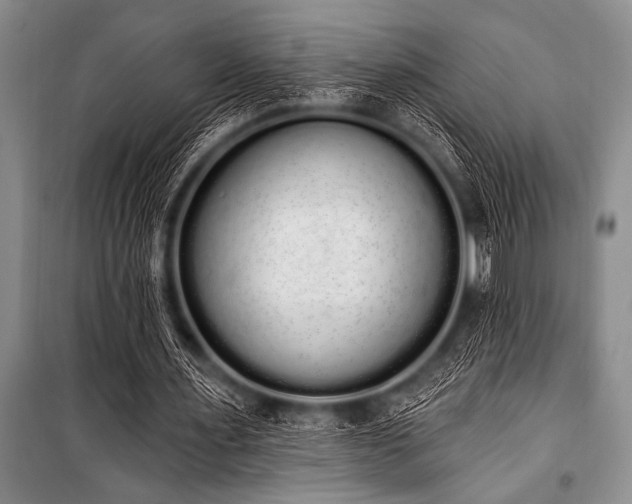 X0000101230483200806271515