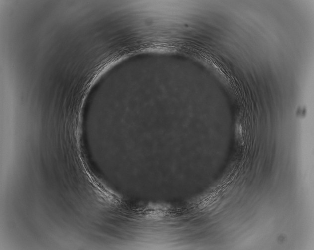 X0000101230484200806271515
