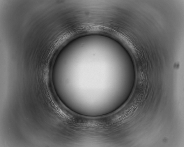 X0000101230485200806271515