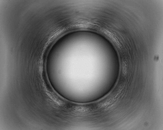 X0000101230486200806271515