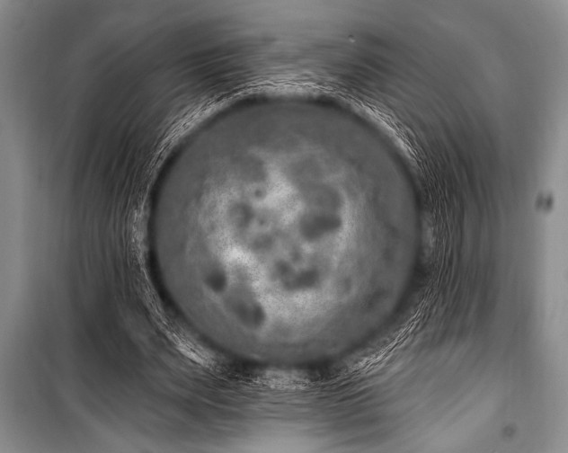 X0000101230487200806271515