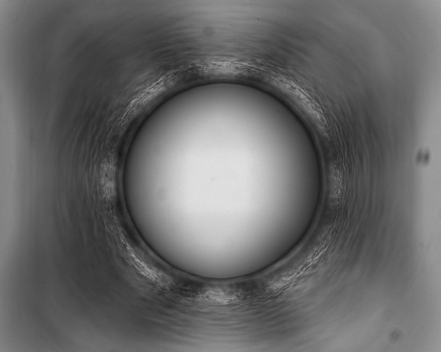 X0000101230489200806271515