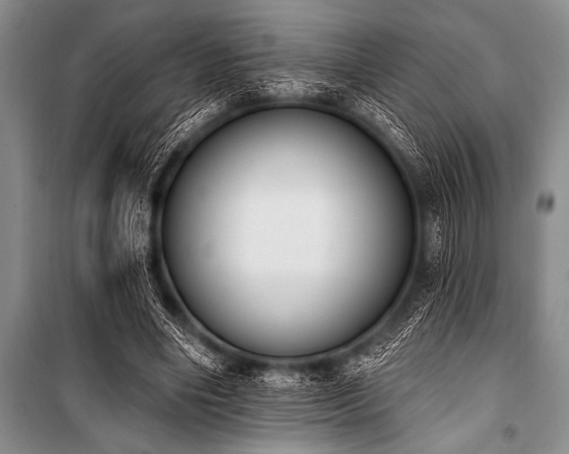 X0000101230490200806271515