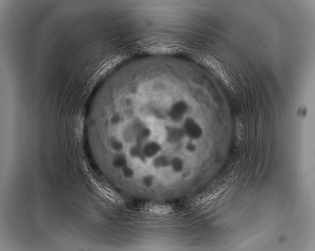 X0000101230491200806271515