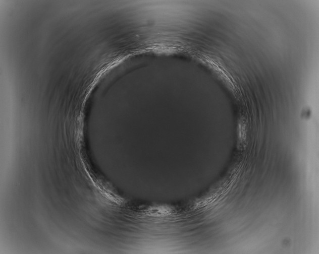 X0000101230492200806271515