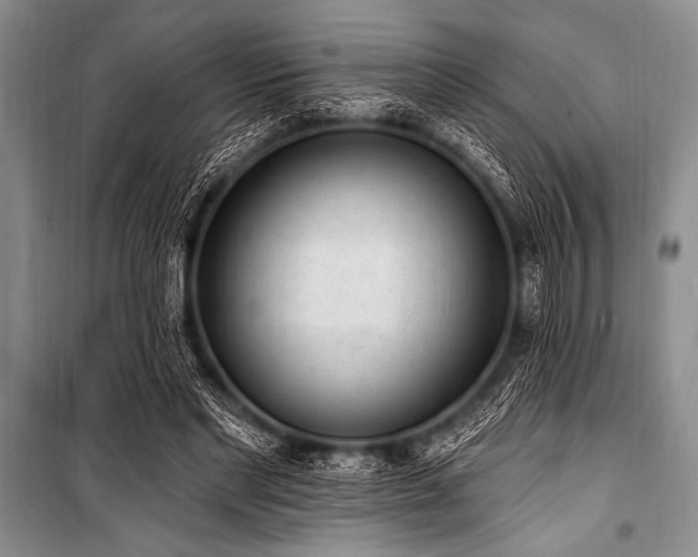 X0000101230493200806271515