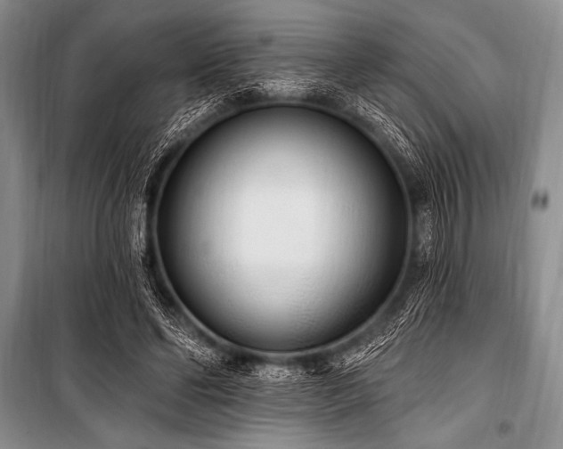 X0000101230494200806271515