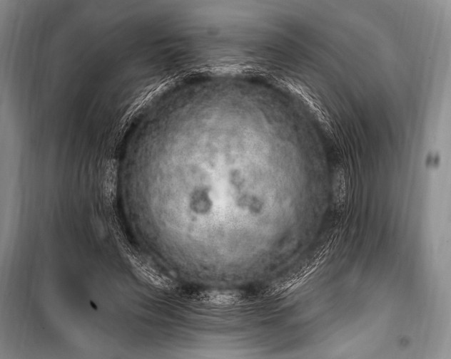 X0000101230495200806271515