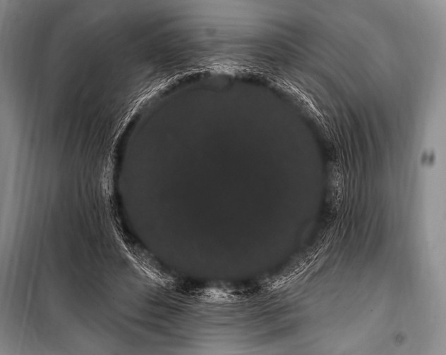 X0000101230496200806271515
