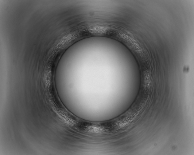 X0000101230498200806271514