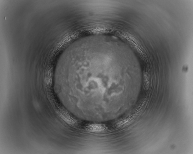 X0000101230499200806271514