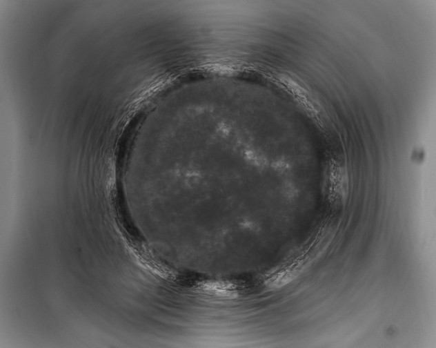 X0000101230500200806271514