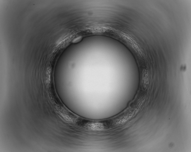 X0000101230501200806271514