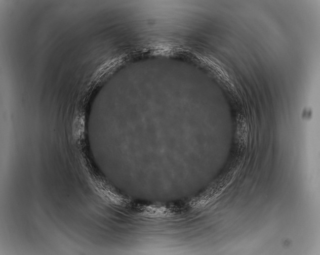 X0000101230502200806271514