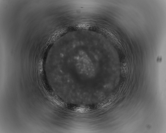 X0000101230504200806271514