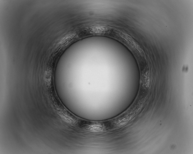 X0000101230505200806271514