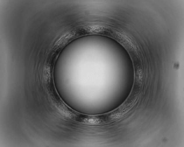 X0000101230506200806271514