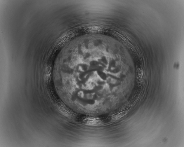 X0000101230507200806271514