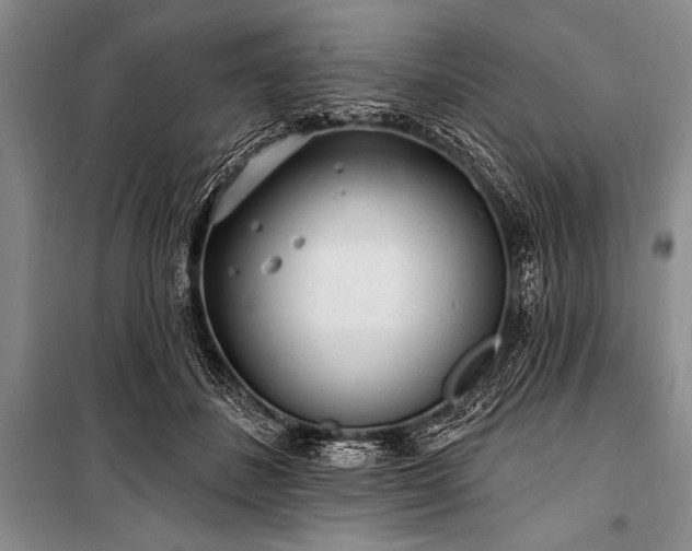 X0000101230508200806271514