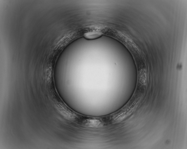 X0000101230509200806271514