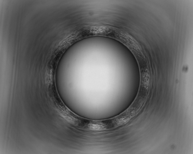 X0000101230510200806271514