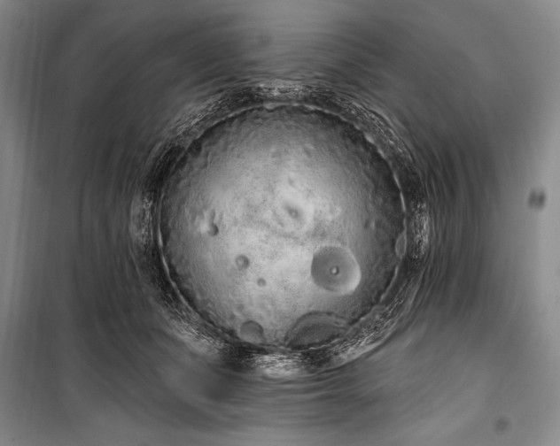 X0000101230511200806271514