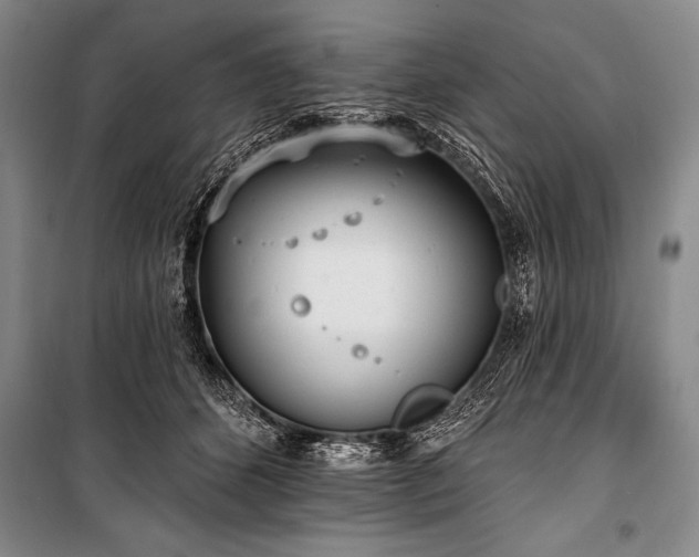 X0000101230512200806271514