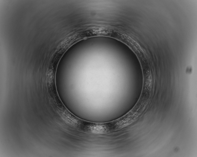 X0000101230513200806271514