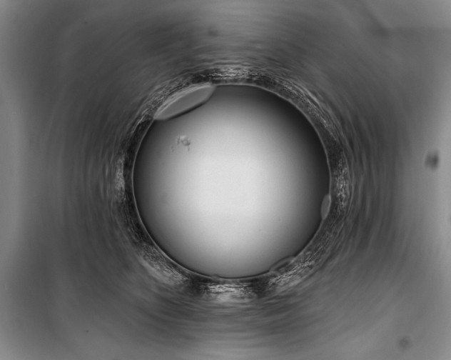 X0000101230516200806271514