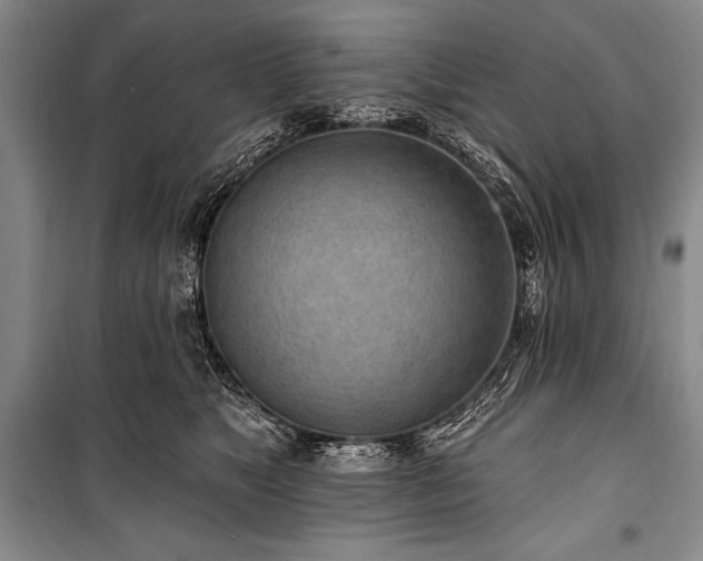 X0000101230517200806271514
