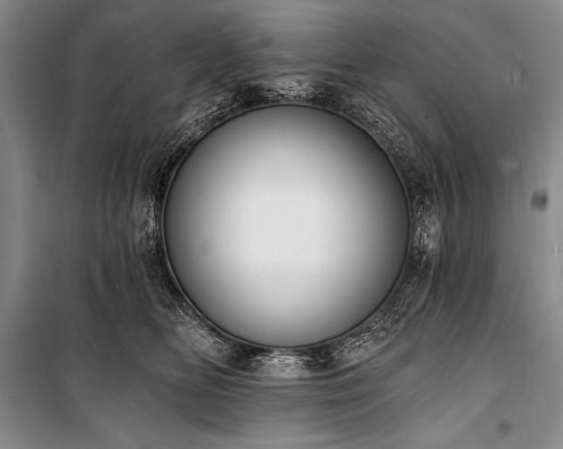 X0000101230518200806271514