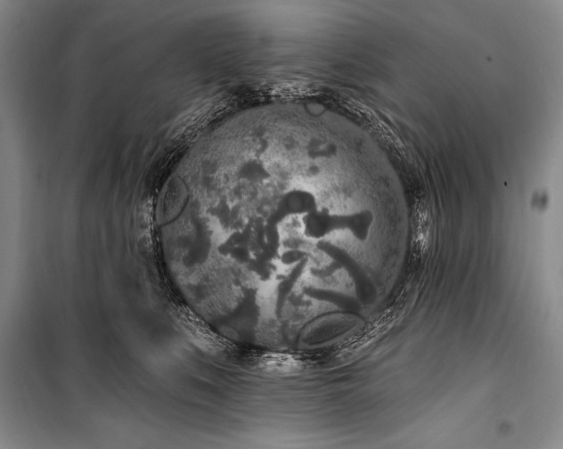 X0000101230519200806271514
