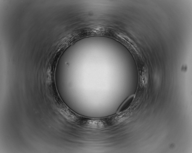 X0000101230520200806271514