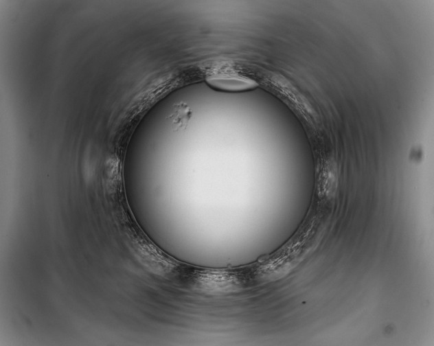 X0000101230521200806271514